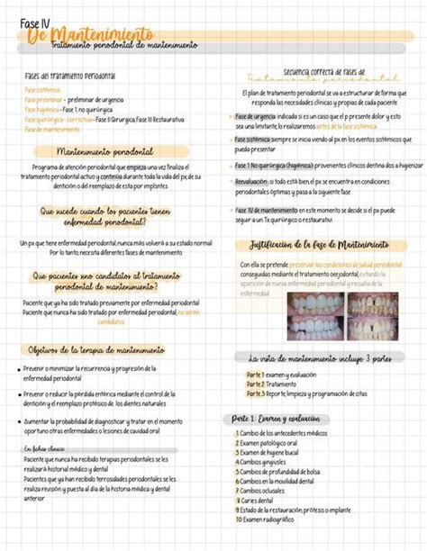 Fase Iv De Mantenimiento Tratamiento Periodontal De Mantenimiento