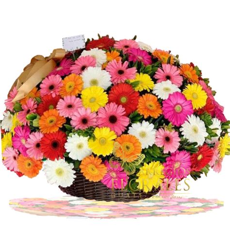 Gerberas Impactantes Arreglos Florales Guate