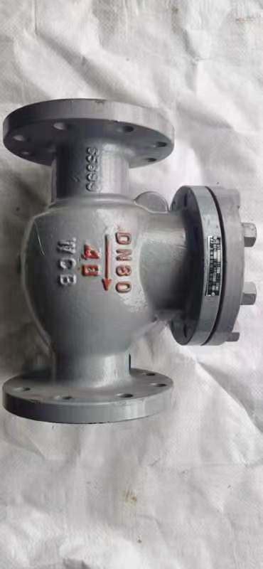 Cast Carbon Steel Api Din Jis Lb K Lb Flange End Swing Check