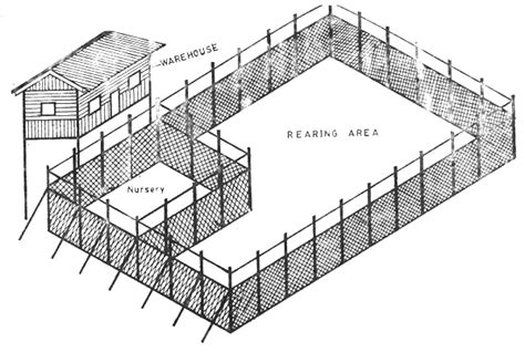 Pen Culture Enclosure Culture As An Aquaculture System