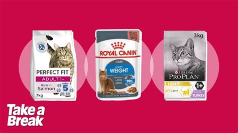 Best Cat Food For Overweight Cats In The Uk