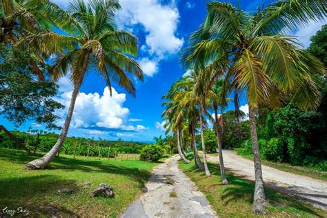 Barbados Wildlife Reserve: Exploring Barbados | Lizzy Davis