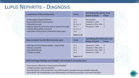 Lupus Nephritis Kdigo 2021 Guidelines Dr Gawad