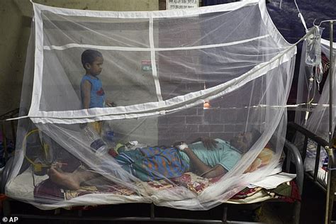 More Than 1000 People In Bangladesh Have Caught Dengue Fever In The