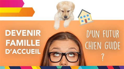 Devenir Famille D Accueil D Un Futur Chien Guide YouTube