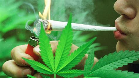 Ampel Koalition Einigung über Legalisierung von Cannabis ab dem 1 April