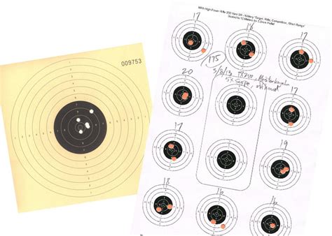 competitive shooting guide airgun depot