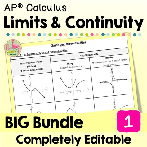 Limits And Continuity Big Bundle Flamingo Math With Jean Adams