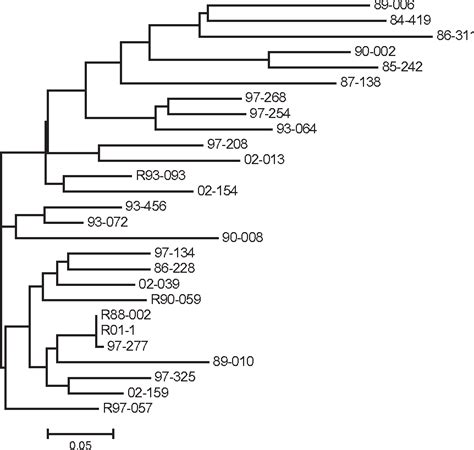 Figure 1 From Comparative Genomics Identifies The Magnaporthe Oryzae