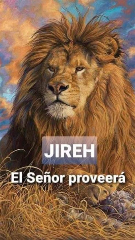 El León De La Tribu De Judá 🙏 Tribu De Judá Frases Biblicas De Animo