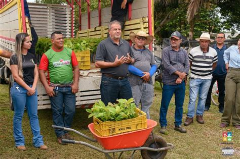 Prefeitura De M Ncio Lima Entrega Mais De Mil Mudas De Caf A