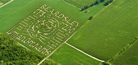 It's Time to Hightail it to Lyman Orchards' Sunflower Maze for some Rip ...