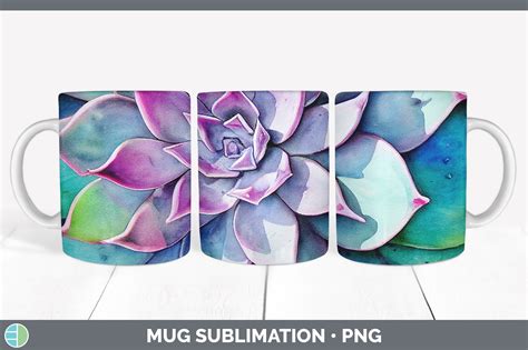 Succulents Mug Sublimation Coffee Cup Designs Png By Enliven Designs