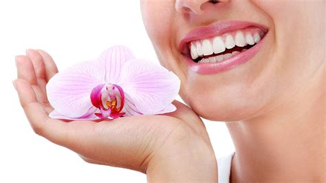 Healthy Gums The Dental And Denture Care Center Spring Hill Fl