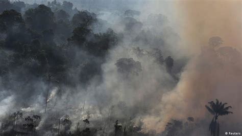 Brazil Ratifies Paris Climate Deal DW 09 13 2016