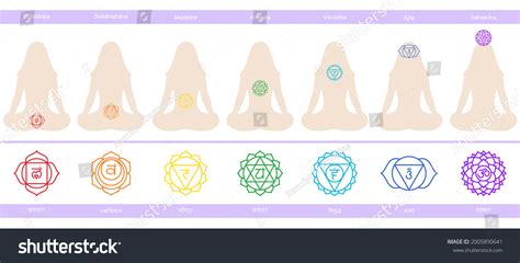 Chakras Muladhara Swadhisthana Manipura Anahata Vishuddha Vector C