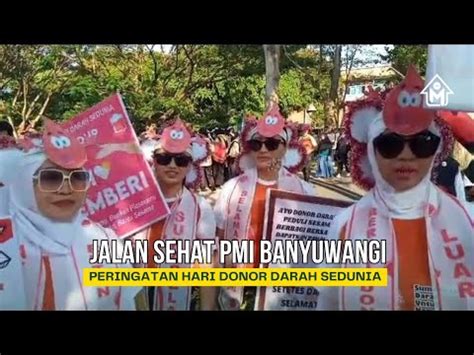 Pmi Banyuwangi Gelar Jalan Sehat Dan Lomba Promosi Donor Youtube