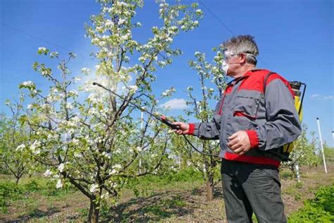 When To Spray Apple Trees Minneopa Orchards