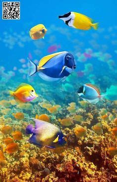 50 TOP 3D Fish ScreenSaver ideas in 2022 | fish screensaver, beautiful ...