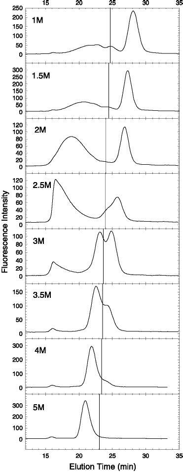 Size Exclusion Chromatography Elution Profiles After 1 H Of Incubation