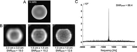 Snr Comparison Between C Mrs With Small Flip Angle Excitation And