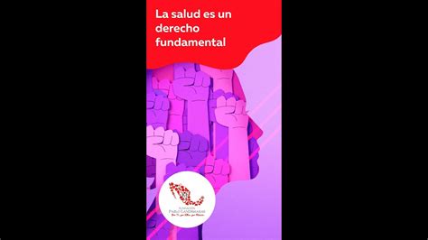 La Salud Es Un Derecho Fundamental Shorts Youtube