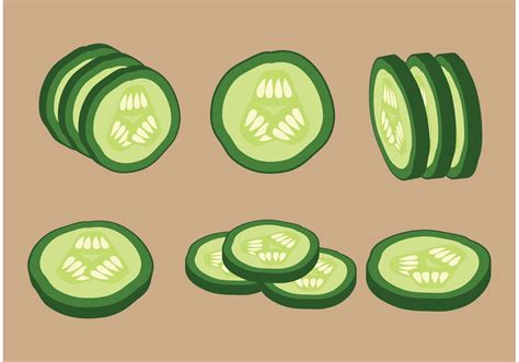 Vector Cucumber Slices 90773 Vector Art at Vecteezy