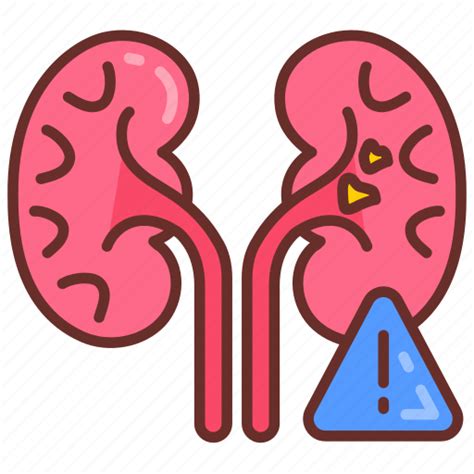 organ failure kidney disease renal damage nephropathy icon