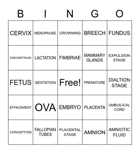 Reproductive System Bingo Card