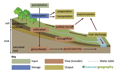 The drainage basin: a component of the water cycle - Internet Geography