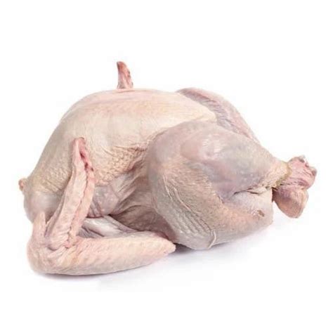 Fresh Turkey Meat At Best Price In Tiruppur By South Indian Agro Farms