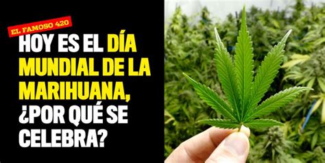 Hoy Es El Día Mundial De La Marihuana ¿por Qué Se Celebra