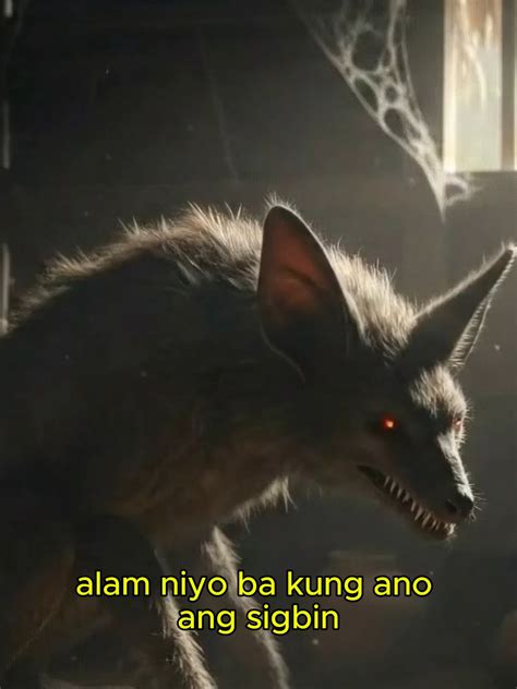 meet  sigbin scariest mythical creature   philippines tiktok