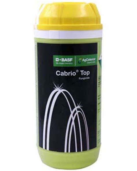 Basf Cabrio Top Gm Gm At Best Price In Sanand Id