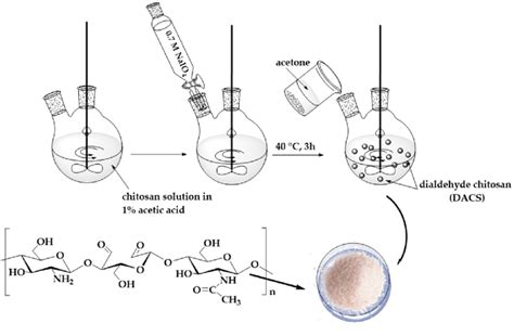 Scheme of the synthesis of dialdehyde chitosan. | Download Scientific ...