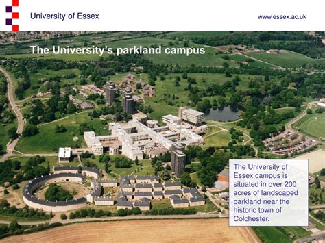 Ppt University Of Essex Powerpoint Presentation Free Download Id