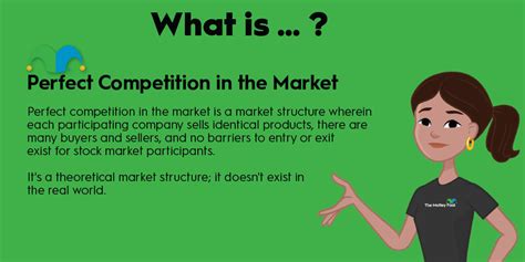 What Is Perfect Competition in the Market? | The Motley Fool