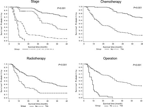 Frontiers Multivariate Analysis Of Prognostic Factors In Patients With Lung Cancer