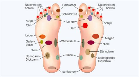 Fußreflexzonenmassage Die Füße Als Abbild Des Körpers Kreideandmeer