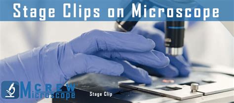 What do the Stage Clips do on a Microscope - Microscope Crew