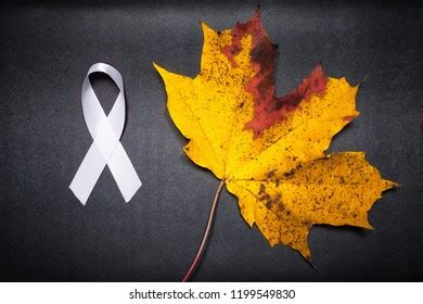 Lung Cancer Ribbon White Ribbon Respiratory Stock Photo 1199549830 | Shutterstock