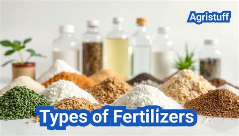 types  fertilizers explained npk     choose