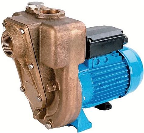 Gmp 1 Inch Bspf Marine Bronze Self Priming Electric Pump 037 Kw 12 Hp 135 Lpm 124 M Head