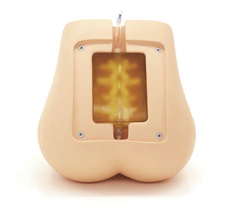 Ultrasound Compatible Lumbar Puncture Epidural Simulator 3 Dmed