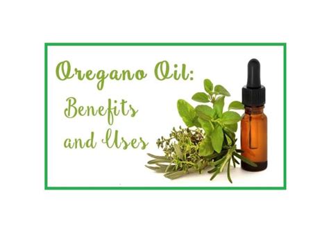 Health Benefits Of Oil Of Oregano