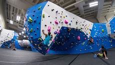 Rock climbing and bouldering could be your next best whole-body workout - MarketWatch