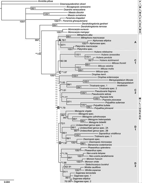 The 50 Majority Rule Consensus Tree From Bayesian Analysis Of Seven