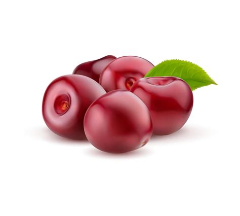 Realistic Ripe Cherry Raw Red Cherry Berry Bunch 39613336 Vector Art