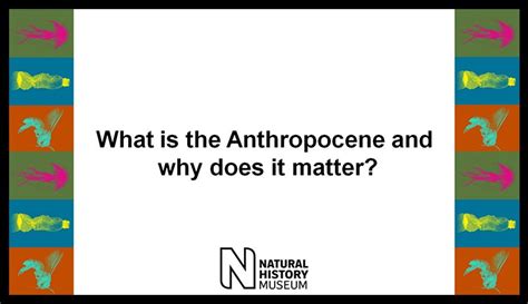 Teacher primer: What is the Anthropocene? | Natural History Museum