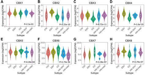 Cbxs Related Prognostic Gene Signature Correlates With Immune